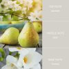 white-jasmine-600x693-1.jpg